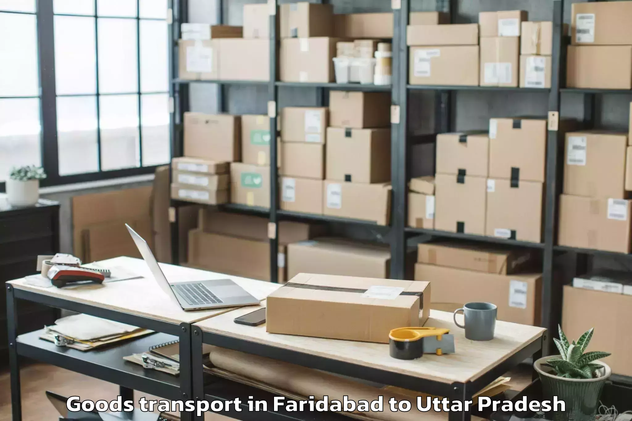 Easy Faridabad to Govardhan Goods Transport Booking